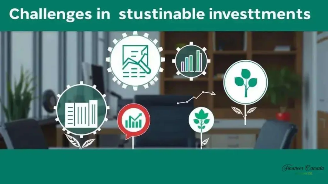 Challenges in sustainable investments