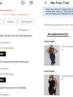 Shein Free Clothing and Electronics Program