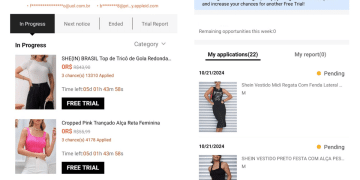 Shein Free Clothing and Electronics Program